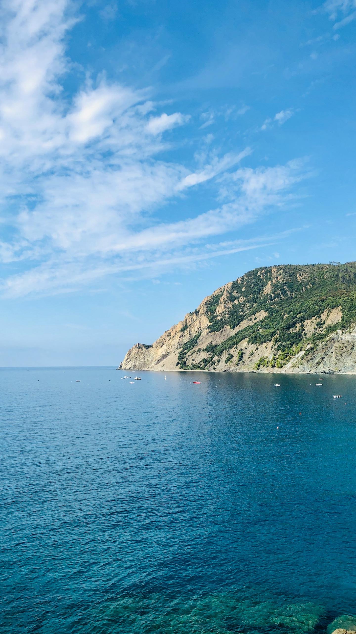 Whispers of the Reef