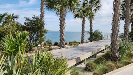 Five Of The Most Resilient Seaside Plants