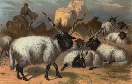 Topp 7 mesterverk som skildrer gjeterlivet